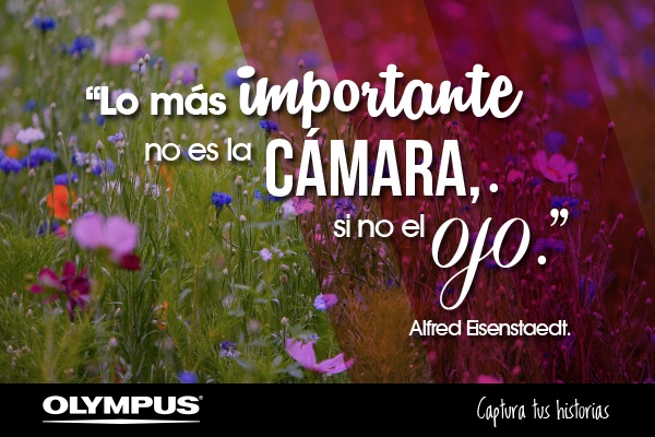 Frase 3