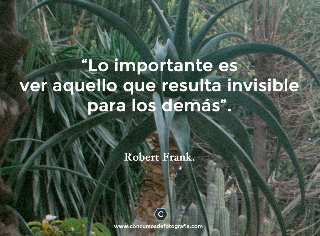 Robert Frank